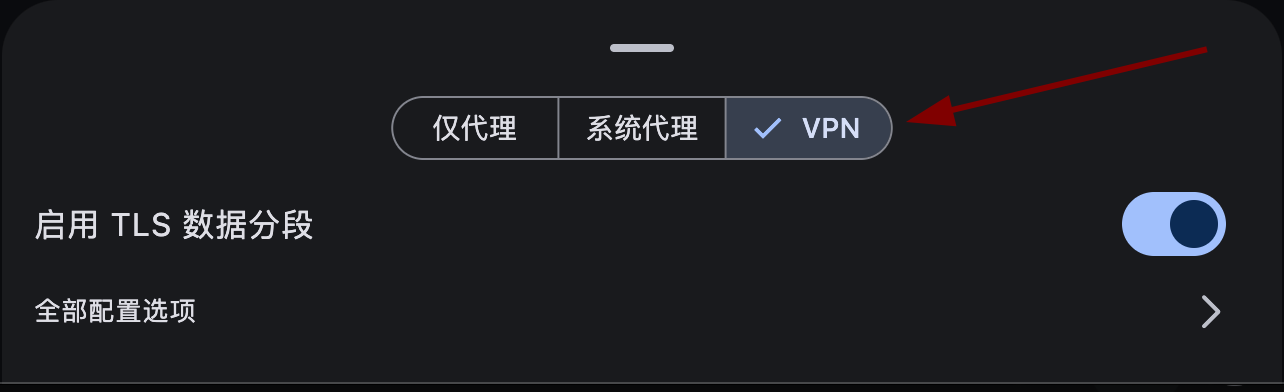 选择 VPN 模式