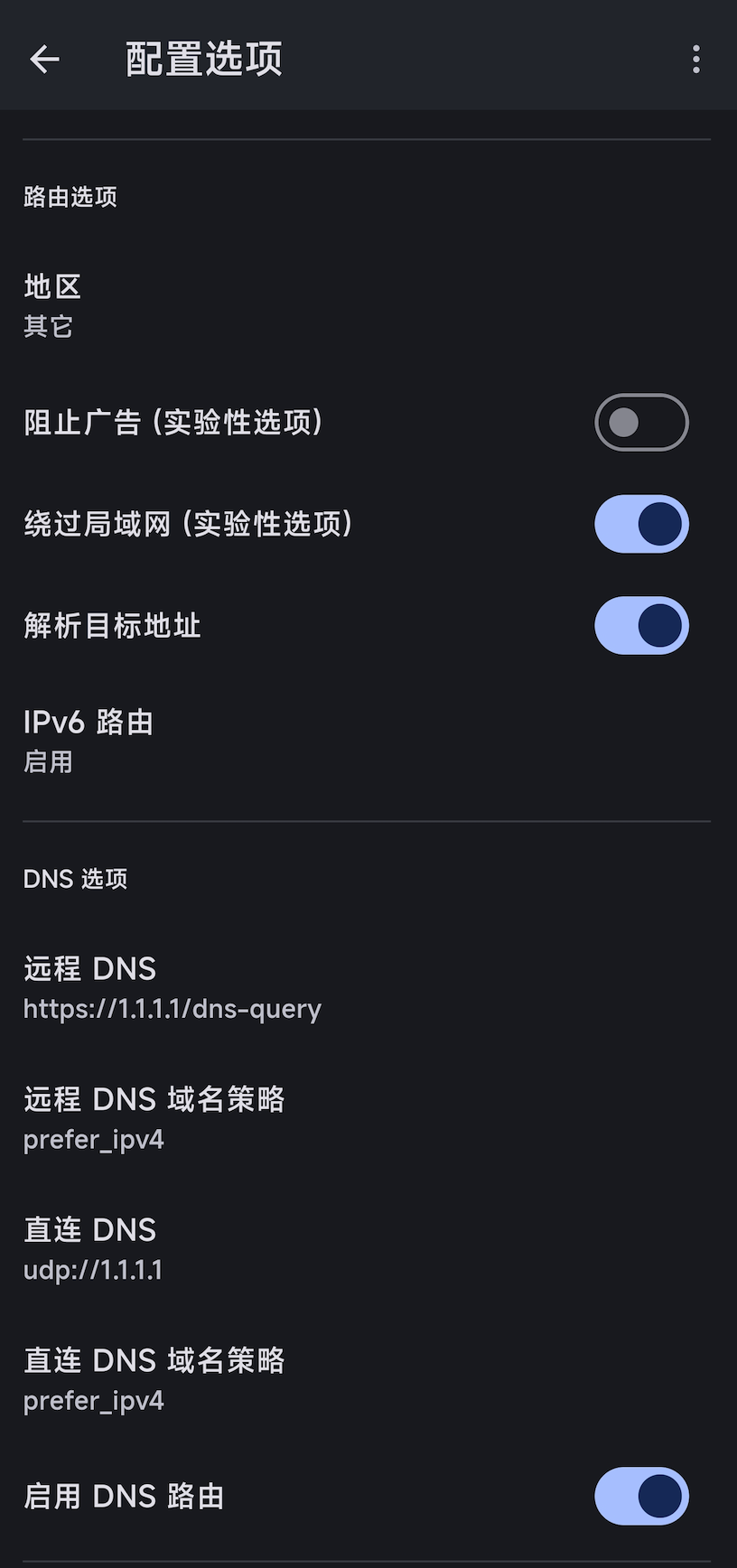 Hiddify 路由与 DNS 设置